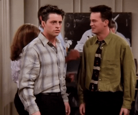 FRIENDS GIFs We All Can Relate To Our Lives
