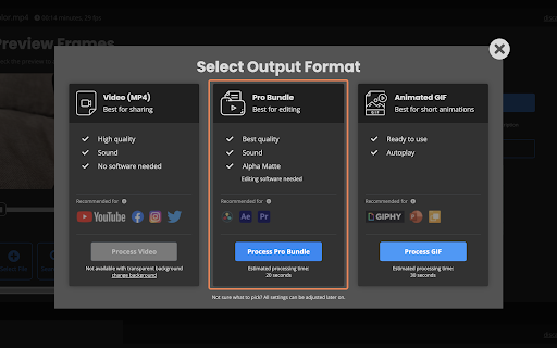 Output formats on Unscreen