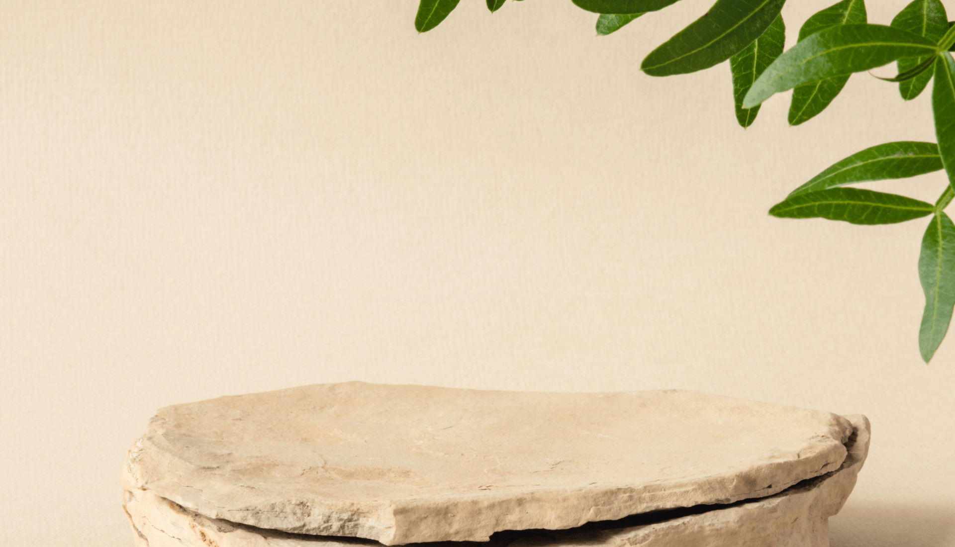 Background image in image dragger