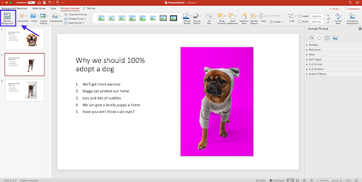 PowerPoint background remover là công cụ giúp cho việc thiết kế bài thuyết trình của bạn trở nên đẹp mắt hơn! Hãy đón xem hình ảnh liên quan để biết cách sử dụng và tận dụng tối đa tính năng tách nền của nó nhé!