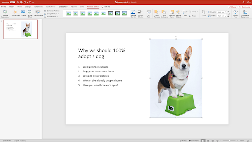 How to Remove the Background from a Picture in PowerPoint –  Blog