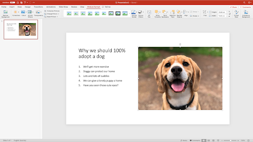 How to Remove the Background from a Picture in PowerPoint –  Blog