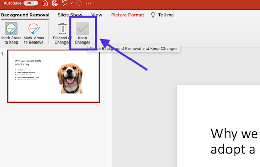 PowerPoint 2019 không chỉ có nhiều tính năng mới mà còn cải tiến đáng kể việc xóa nền ảnh. Với Powerpoint 2019, xóa nền ảnh trở nên dễ dàng hơn bao giờ hết. Hãy tham khảo hình ảnh liên quan để học cách xóa nền ảnh trong PowerPoint