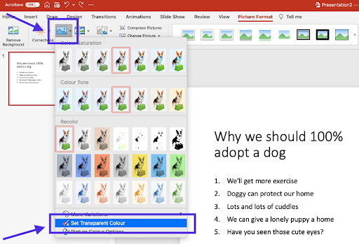 How to Remove the Background from a Picture in PowerPoint –  Blog